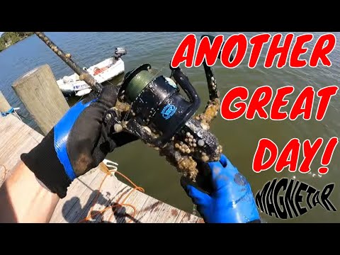Magnet fishing down at the docks! #magnetfishing