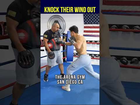 DROP THEM with ONE Body Punch! #boxing #training #technique #boxeo