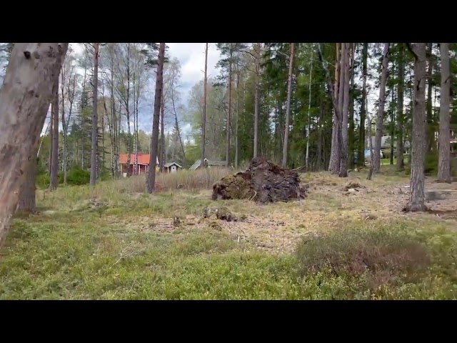 704128 Plot Hemsjö 8:14, Hemsjö parish, Alingsås 17800m²