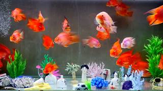 [音樂] 李英宏 aka DJ Didilong - 水哥 2020