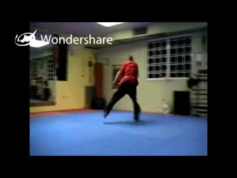 RDKA WUSHU DEMO 2009