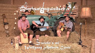 Blechsaidngwedscher - "Zwickt´s mi" (Wolfgang Ambros)