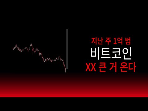 비트코인 개미 학살? 개가 웃네요^^