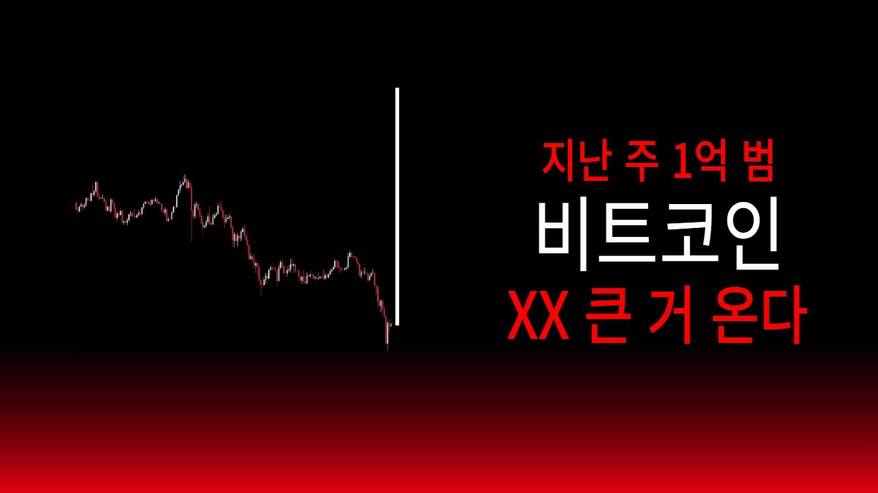 비트코인 개미 학살? 개가 웃네요^^