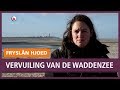 REPO: Onderzoek toont aan hoe erg de Waddenzee met plastic is vervuild