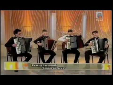 S.& V. Avsenik/Spomin na Zürich