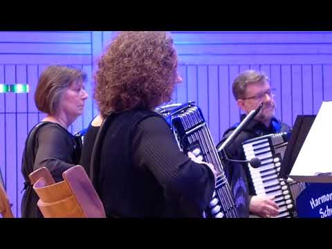 Englishman in New York - Harmonika-Orchester Schwörstadt - Ensemble