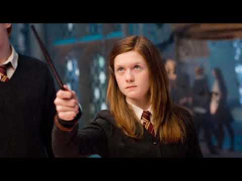 HARRY POTTER: Ranking PROFESSIONS In The Wizarding World | Occupations, Jobs | Premium Theory