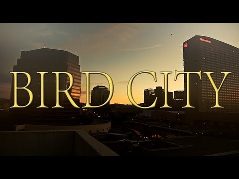 Bird City ft. Yung Wax Rook & Yog Westwood