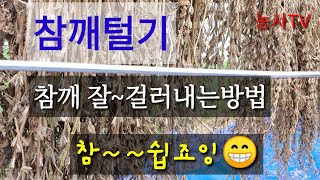 참깨털기 참깨 잘 걸러내는방법?  방풍막가격은?  방풍막을 이용하여 참깨털때 참깨선정이 수월해 집니다.참깨건…