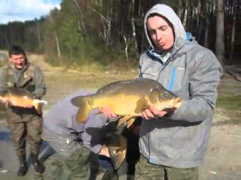 Tuszynek zarybianie karpikami do 7 kg - Carp Team Trójmiasto