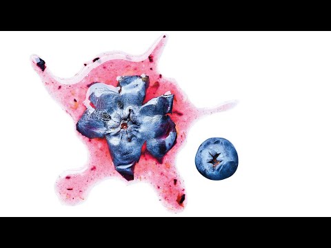 Capturing Stories Through Photography | Interview with Martin Caruso