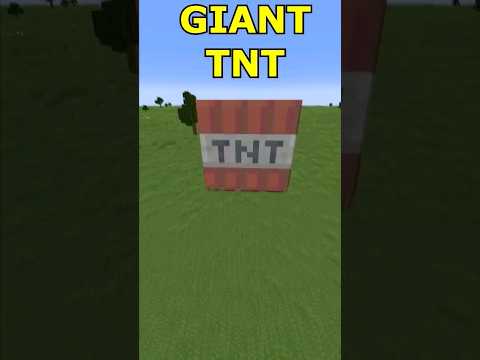 Insane Minecraft TNT Battle: Mini TNT VS 10,000 TNT! #shizo