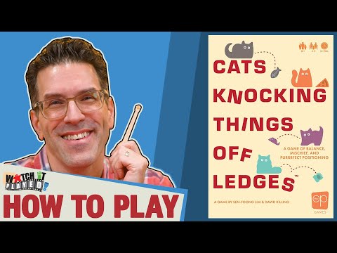 Cats Knocking Things Off Ledges - How To Play