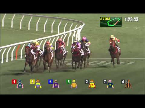 25/5/2022 (695) Everyone's Delight - A Badel