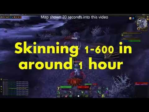 WoW Leveling Skinning Fast from 1-600+ in just over 1 hour on DH
