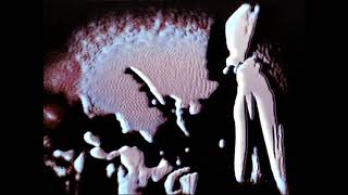 GOD MOTHER - By The Millions (Official Video)