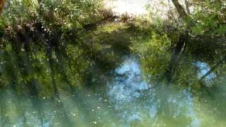 Infected Mushroom Muse Breaks Trippy video