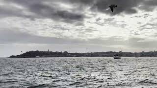 Relaxing Istanbul View (1 Hour) | Bosphorus, Topkapi Palace & Hagia So