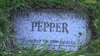 Pepper - Forever in Our Hearts