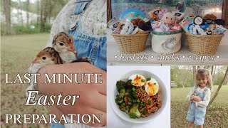 last minute EASTER BASKET ideas 🐣 + we brought home baby chicks