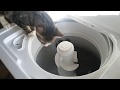 Sammy Cat In The Washing Machine