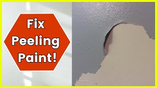 How To Fix Peeling Paint On Walls