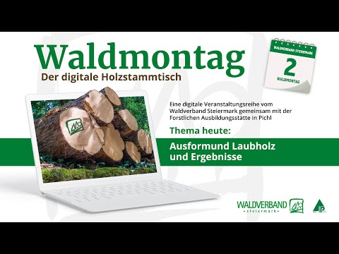 20210201_Waldmontag_Ausformung Laubholz und Wertholzsubmission