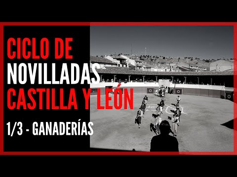 Especial Ciclo de Novilladas 🧱 Castilla y León 🦁 – LAS GANADERÍAS