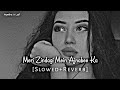 Meri Zindagi Mein Ajnabee Ka Ajnabee Slowed And Reverbed