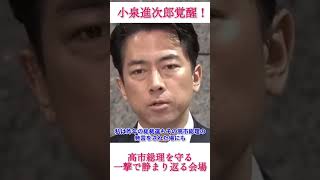 小泉進次郎超覚醒！高市総理を守る一撃！ #政治 #fypシ #news #おすすめ #高市早苗 #小泉進次郎