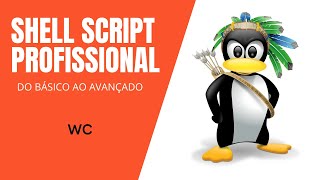 Shell Script profissional Mod.1 #25 - Wc: Exibir número de linhas, palavras e caracteres de arquivo