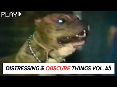 Disturbing Things From our World [Vol. 45]