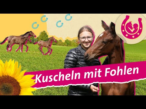 , title : 'Süße Fohlen: Lia auf dem Pferdehof  | Mein Pferdesommer | SWR Plus'