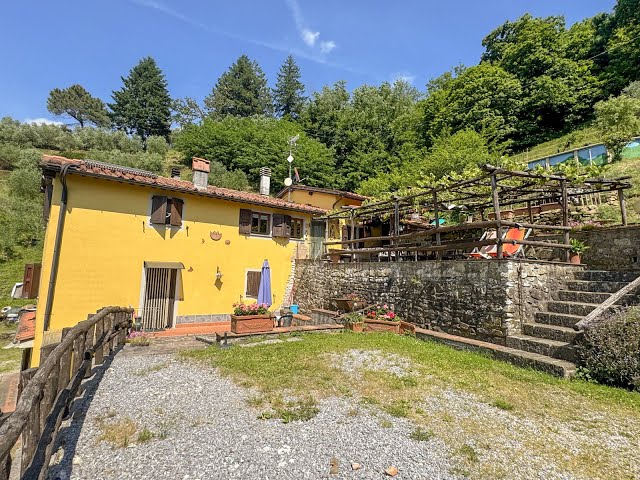 PESCIA COLLINA, CASOLARE IMMERSO NELLA NATURA