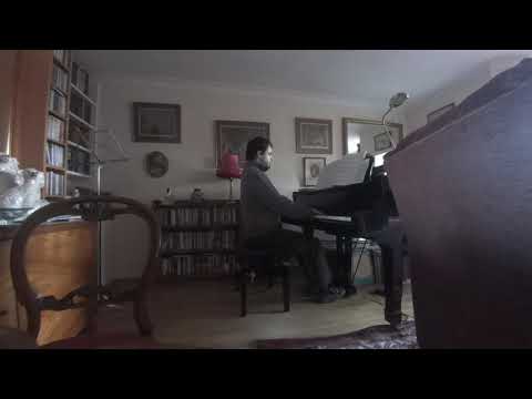 Double beat pseudo theory rendition of Beethoven's Tempest, first movement.