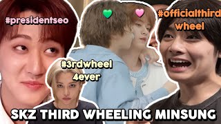STRAY KIDS THIRD WHEELING MINSUNG