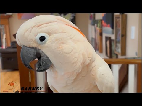 Let’s have some fun! 🤩 