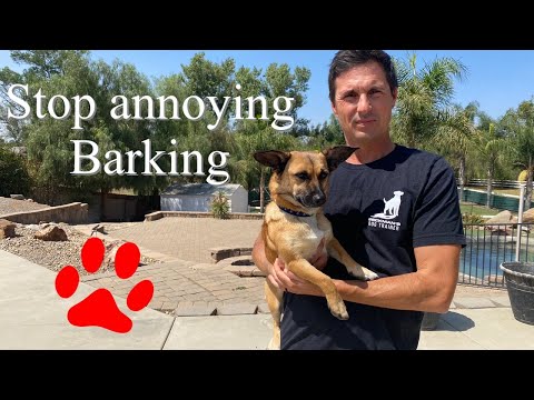 Fix Barking Fast