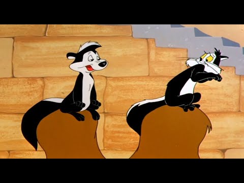 Pepé Le Pew - Aventura Inesquecível
