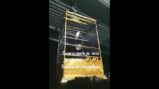 Download lagu Cendet gacor dor mp3 Download lagu Cendet gacor dor mp3