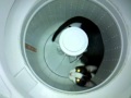 Cat Powered Washing Machine