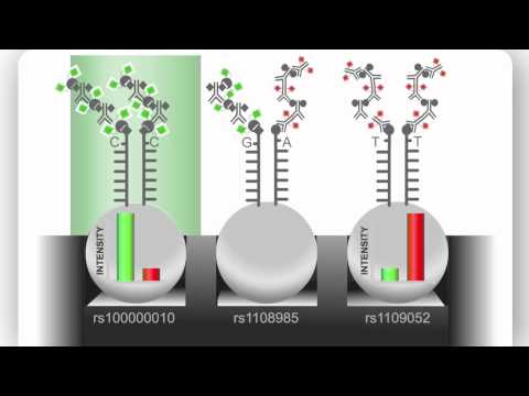 Illumina Infinium Assay: An Overview