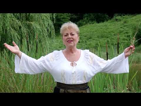 Victoria Moise - " Doamne, tineretea  mea" - muzica populara