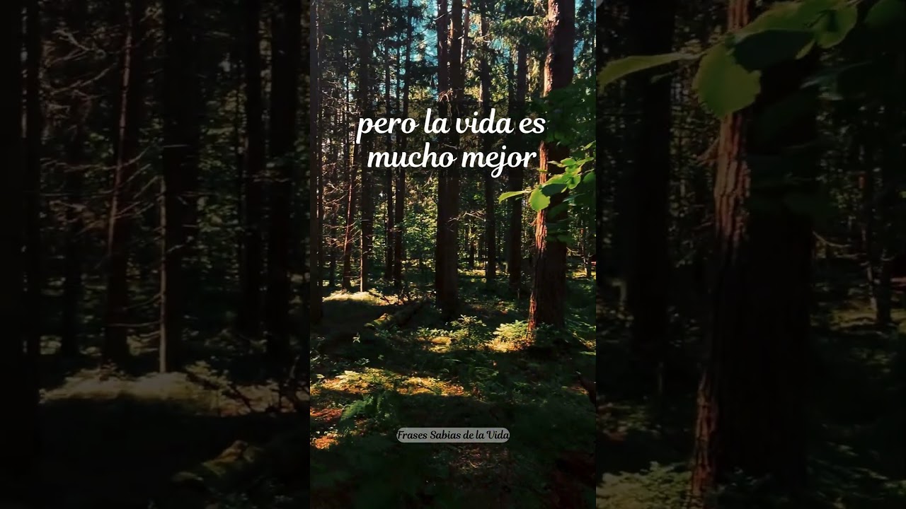 ME ENCANTÓ ESTA FRASE/ Frases para reflexionar #frases