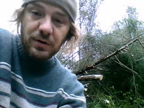 pathfinder phase 1.wmv