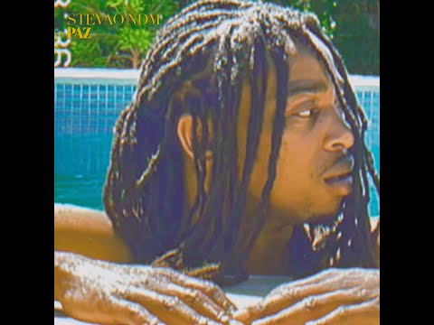 STEVÃO NDM x ZOO - PAZ (Visualizer)