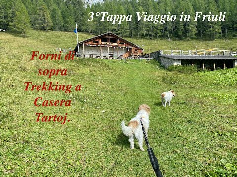 Forni di sopra e Trekking Malga tartoj