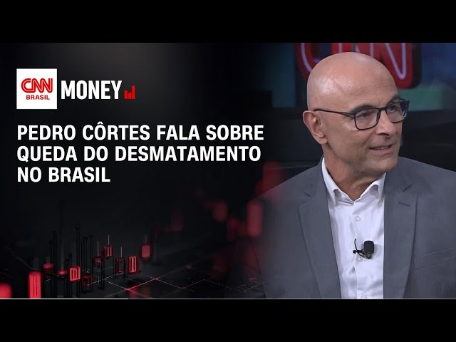 Desmatamento na Amazônia tem a menor taxa em 11 anos | Morning Call