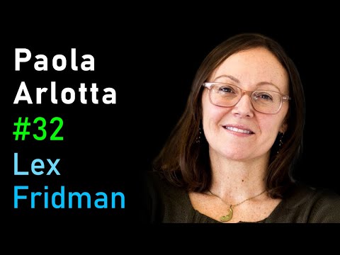 Paola Arlotta: Brain Development from Stem Cell to Organoid